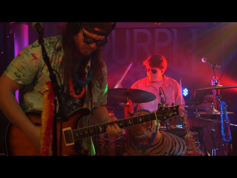 Koodookoo • The Shelter Sessions Live Stream #2 • Purple Bee Studios 2020-05-28 [Full Show]