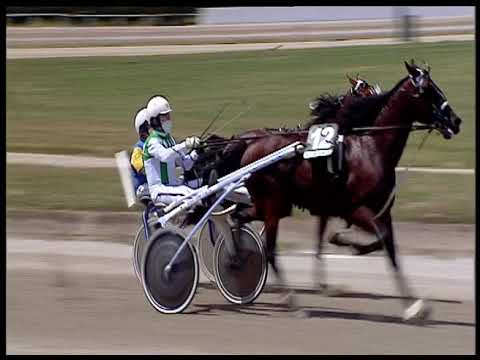 Trotto 13/06/2020 - 1ª corsa