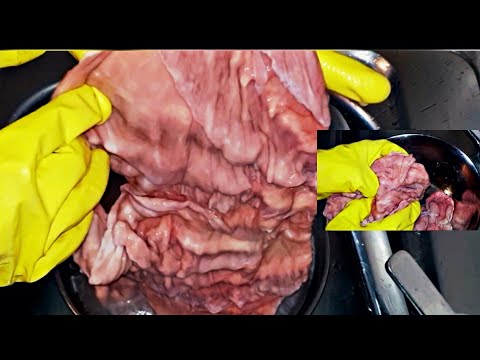 how to clean cow placenta | cow tripe | how to wash abodi, cow intestines #cowtripe #cowintestines