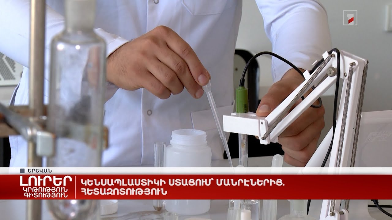 Կենսապլաստիկի ստացում՝ մանրէներից. հետազոտություն