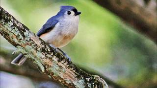 Fred Eaglesmith - "Been a Long Time"