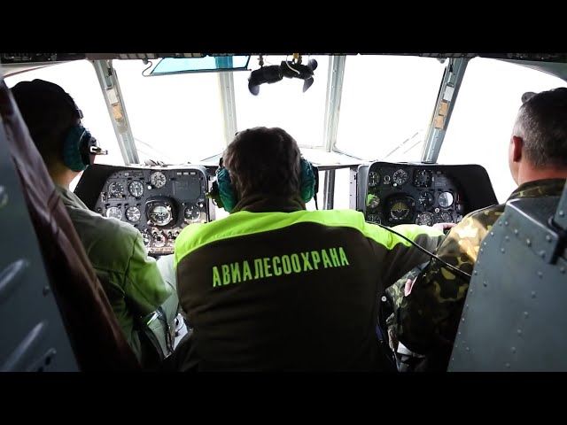 7 июля профессиональный праздник отмечают сотрудники авиалесоохраны