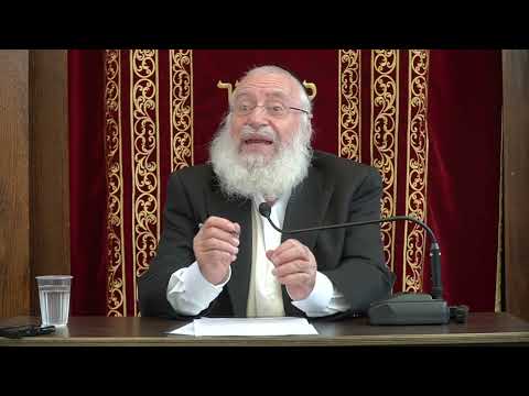 The Mitzvah of Sefiras HaOmer | Weekly Shiur by Rav Asher Weiss Shlit"a (5785)