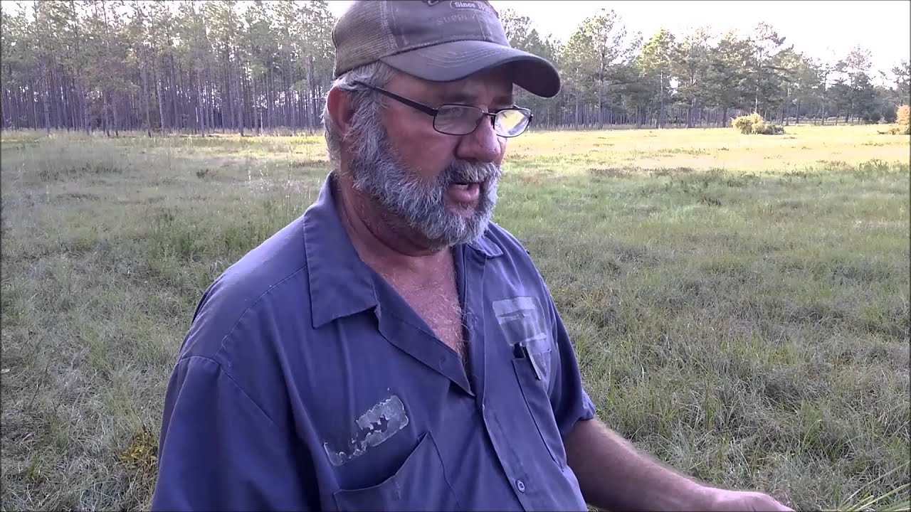 Mycorr Plus and Better Pasture, by Aaron Fish