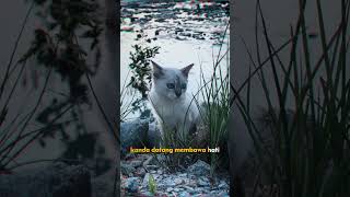 Download lagu Jejaka Si Penyeduh Kupi - [Original Version] | Lagu Melayu Synthwave mp3