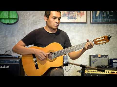 ZEN ON Guitar ZG 250