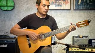 Video thumbnail for ZEN ON Guitar ZG 250 by Surin Vintage