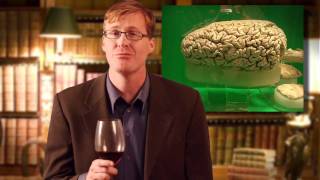 Kurt Braunohler's World Wild of Animals E03: Killer Whales