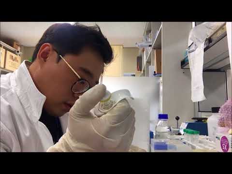 20180627 cDNA synthesis