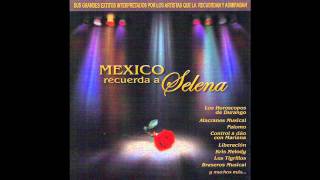 El Chico Del Apartamento 512 Lyrics English Translation