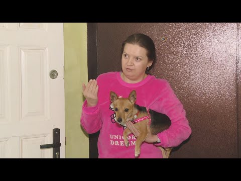 С соседским конфликтом разбиралась наша съемочная группа видео