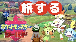 ポケモンシールド旅を楽しもうぜ！2日目