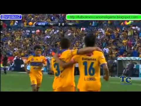 TIGRES VS PACHUCA 3-1 JORNADA 15 CLAUSURA 2013 LIGA MX ABRIL/20/2013 TIGRES VS PACHUCA 2013