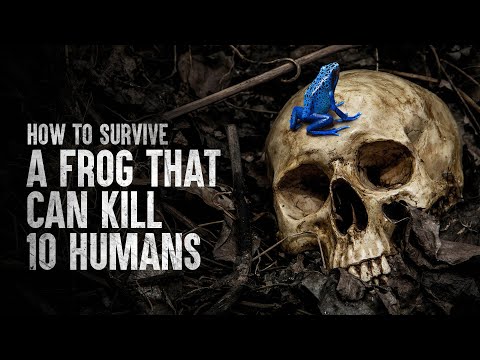 How to Survive a Poison Dart Frog