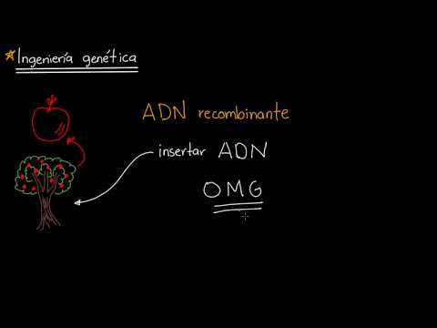 Introduction to Genetic Engineering | Khan Academy in Spanish