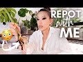 Chatty repot with me: making a teeny tiny dent in my mountain of plant chores 😵‍💫