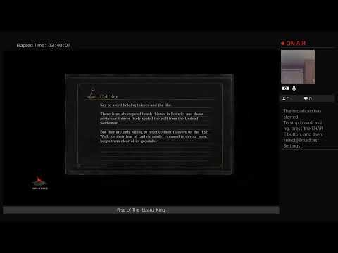 DS3 Run Pt. 39