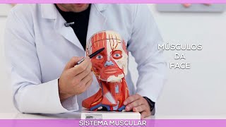 Músculos da face