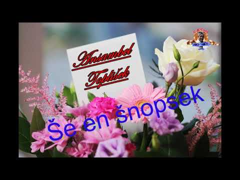 Še en šnopsek-Ansambel Toplišek