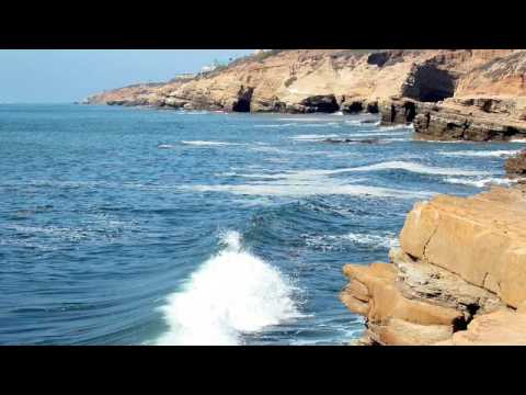 Zachary Carbon Cycle - YouTube