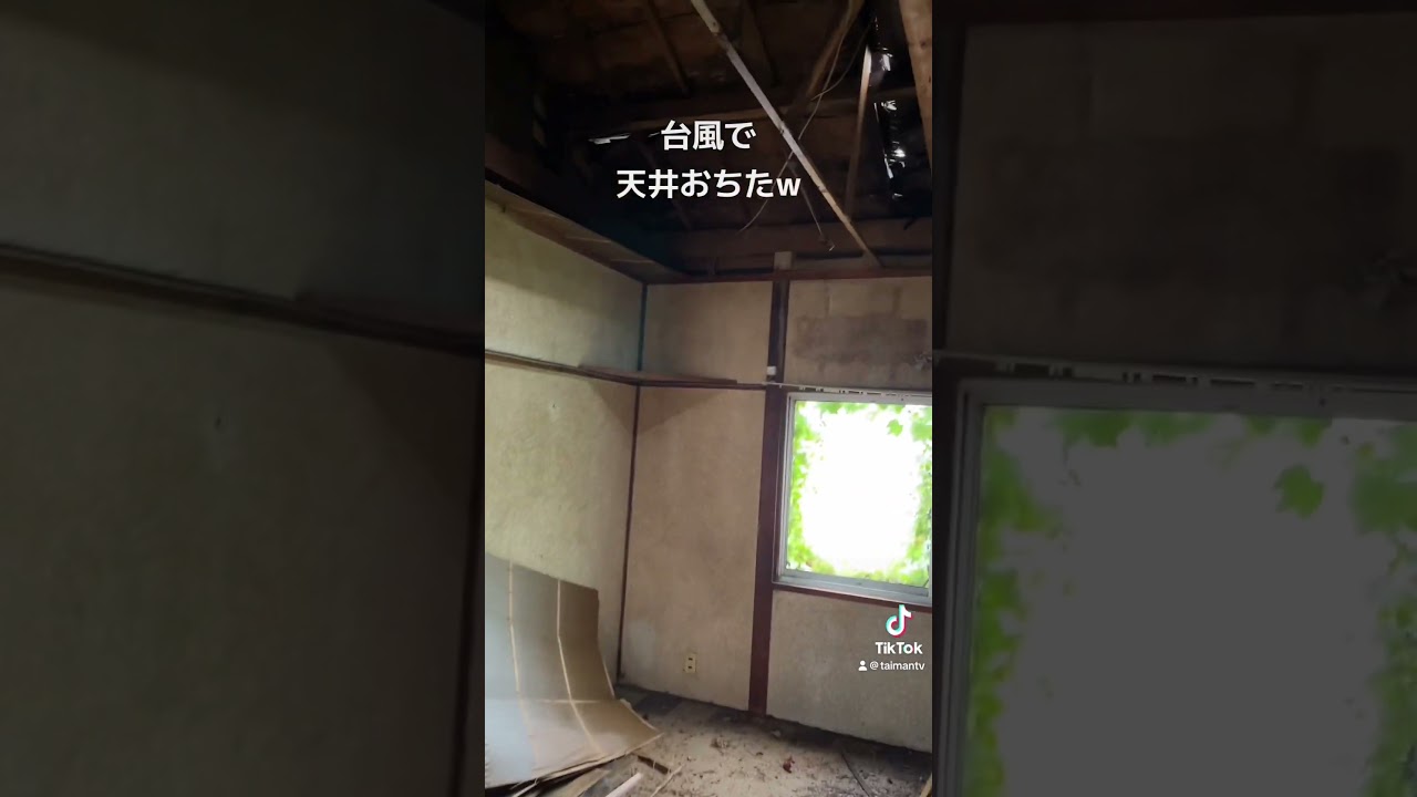 台風が来て。。。