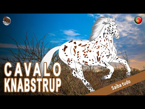 , title : 'CAVALO KNABSTRUP, um dos raros cavalos malhados da Europa, RAÇAS DE CAVALOS'
