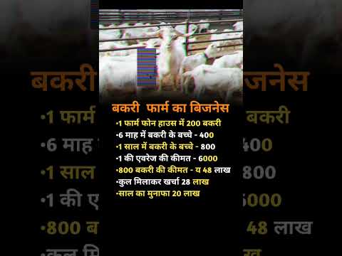 बकरी फार्म का बिजनेस 💸 बकरी बेच कर कमाओ 🤑 महीने के लाखों रुपए 2025 #new#business#tips#idea#trending#