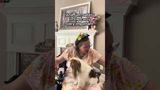 Service dog essential gear #servicedog #workingdog #assistancedog #servicedogteam #servicedoglife