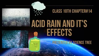 Acid Rains and Its Effects | Environmental Chemistry I || The Atmosphere || Science Tree