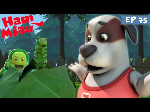 Ham Miau 🐶 Omizile 🐱 Desene pentru copii | HeyKids