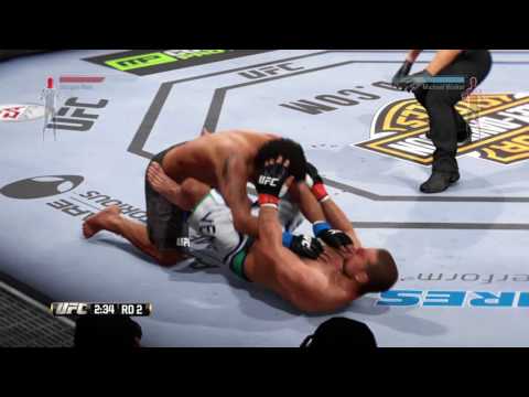 UFC Career fight (Michael Walker)