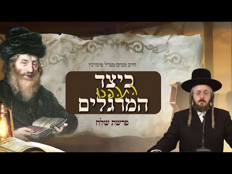 מתורתו של החתם סופר - פרשת שלח