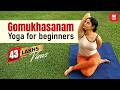 Gomukhasanam Yoga For Beginners By Yamini Sharma Health Benefits Manorama Online