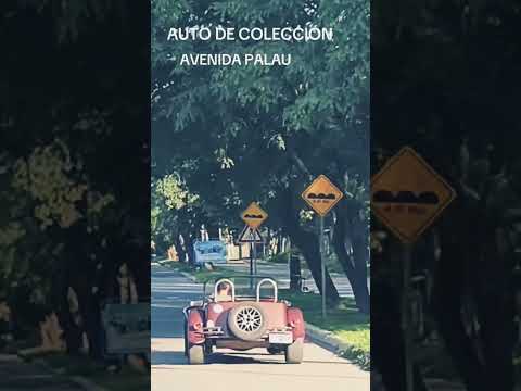 AUTO DE COLECCIÓN ROSARIO DE LA FRONTERA