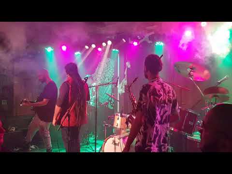 Tarante Groove Machine - Herbalist + Yaleli