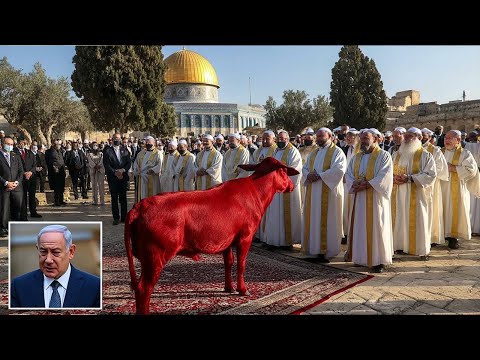 THIRD TEMPLE UPDATE: Perfect Red Heifer Approved, First Stone To Be Laid Soon?