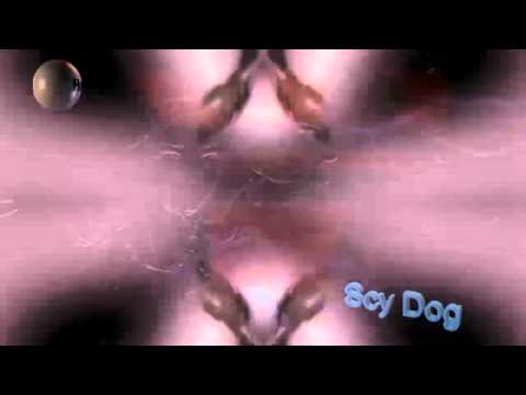 Scy dog DJHH Techno Trance