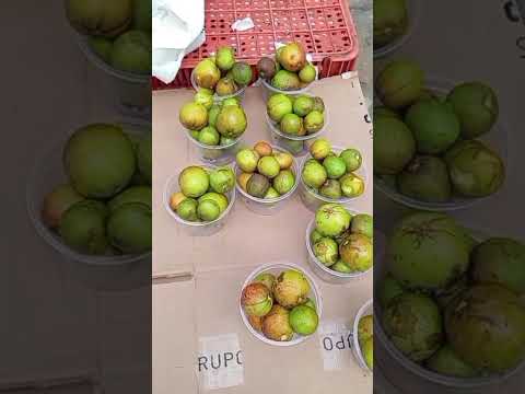 Dtna😻. Sextouuuu🌧️ em Diamantina/MG😻.🙋🏾‍♂️➕👩🏽‍🦱🍬🍻🥳🤣Em 05.12.2025