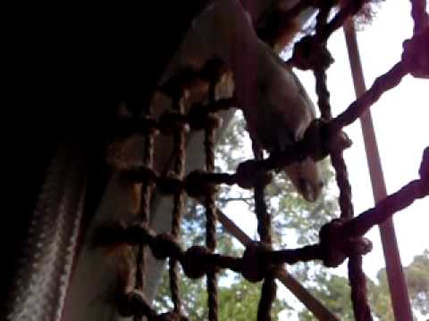 Happy Birthday Deena