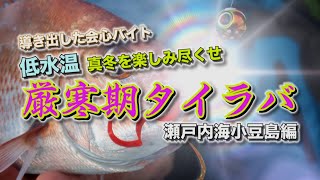 ラグゼ 桜幻 鯛ラバーS | LUXXE(ラグゼ)|がまかつルアー専門ブランド