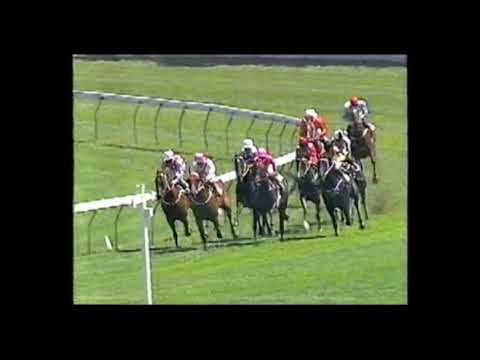 1991 Challenge Stakes - Lightning Bend