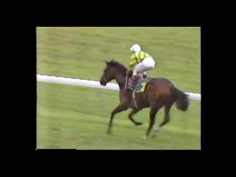 1988 AJC St Leger - Beau Zam