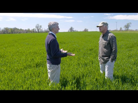 How do the earth and stars showcase God's design? - Dr. Stuart Burgess