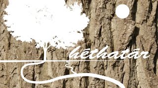 Héthatár 2024. június 11.