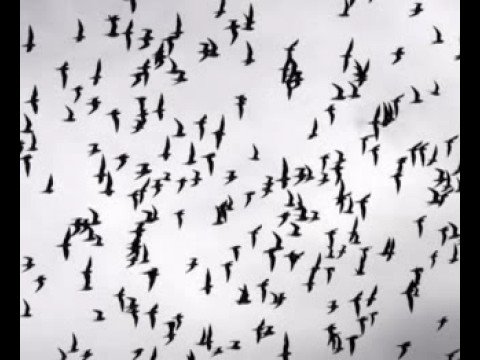 "Сребърни ята" - Георги Минчев