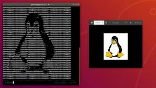 Download the video "How to create a ASCII-Art image from a jpg in Linux"