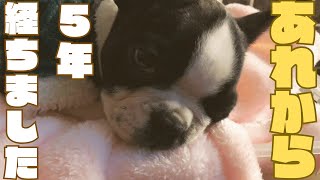 うちに来てくれて本当にありがとう。