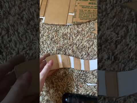 Hypermotion tail! #tails #antizoo #kemonomimi #therian