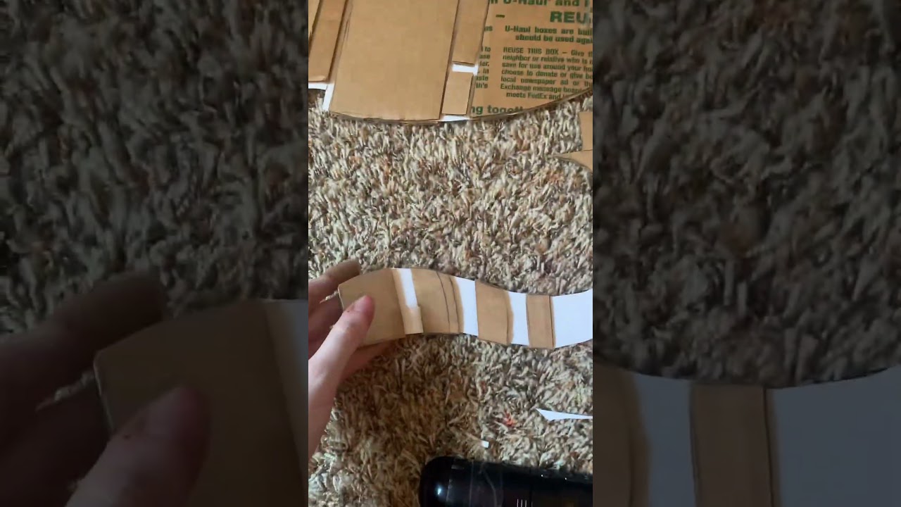 Hypermotion tail! #tails #antizoo #kemonomimi #therian