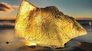 Gone Is Gone - Echolocation